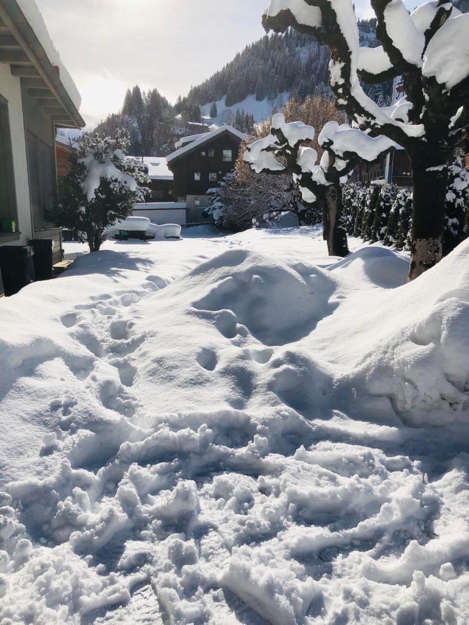 Parkhotel Bellevue Budget Lenk im Simmental Exterior foto